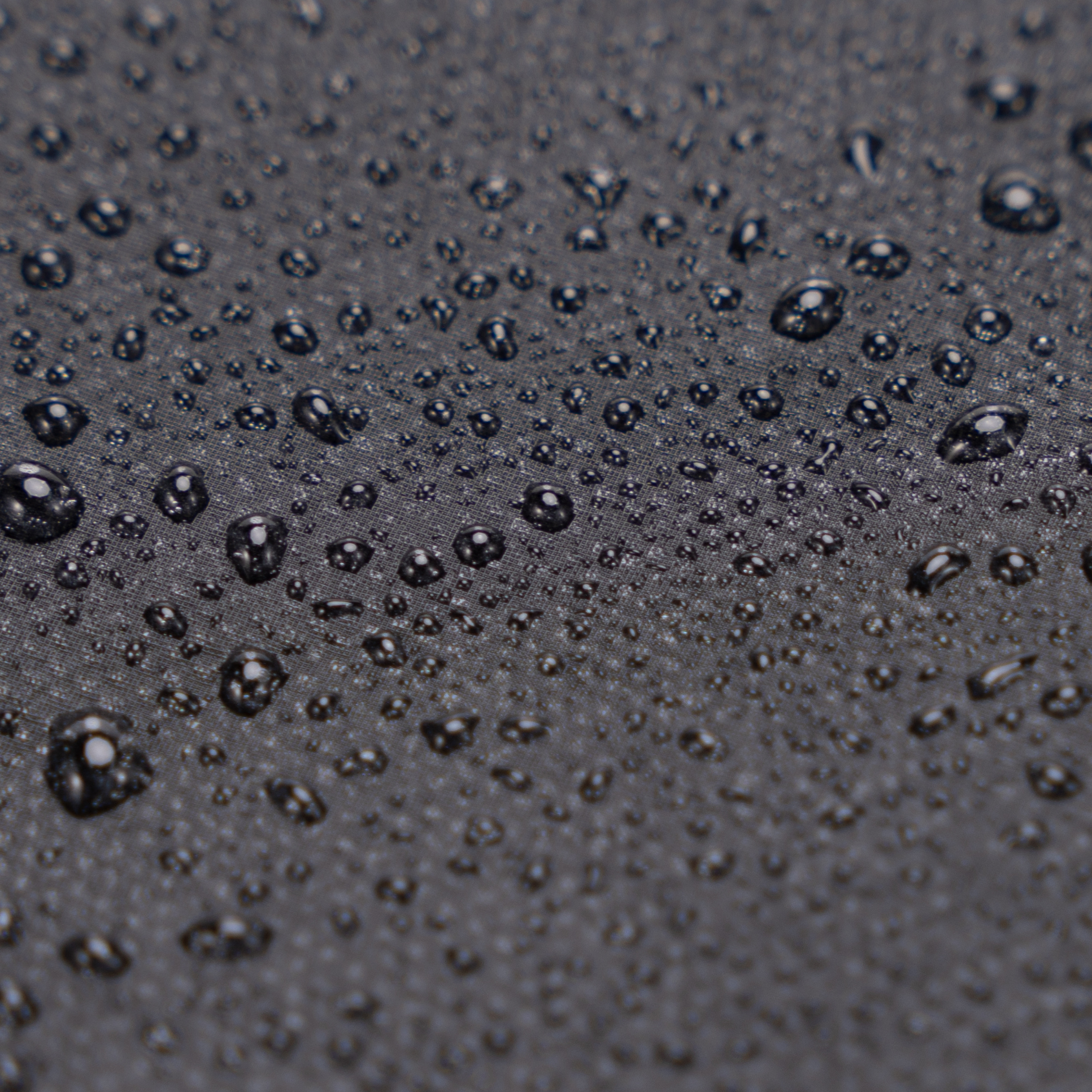 Sac à dos Roll-Top CELIMS - Bagage à Main 40x30x20cm - Imperméable & Ultra-Résitant - Vert